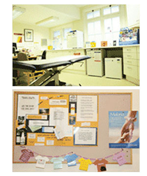 travel vaccination